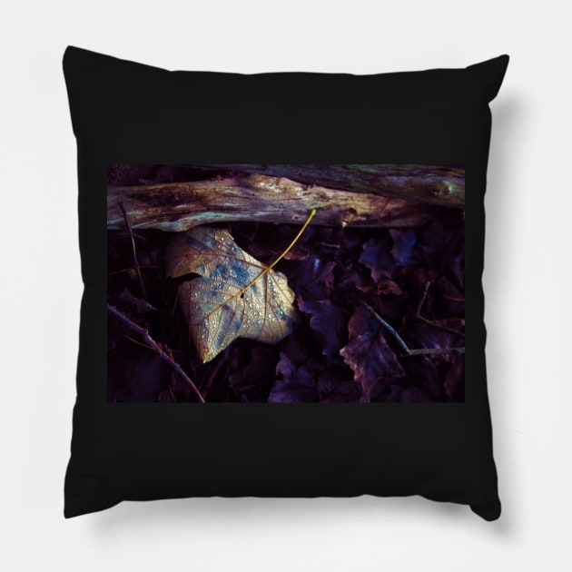 Dance in the Rain Pillow by InspiraImage