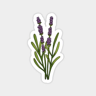 Lavender Magnet