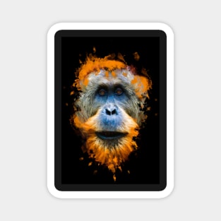 Orangutan monkey Magnet