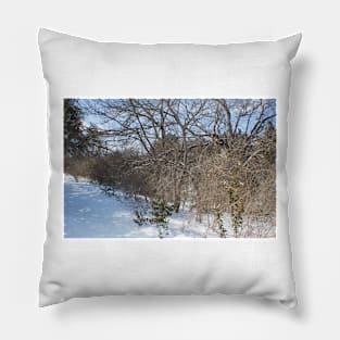 Snow Dreams Pillow