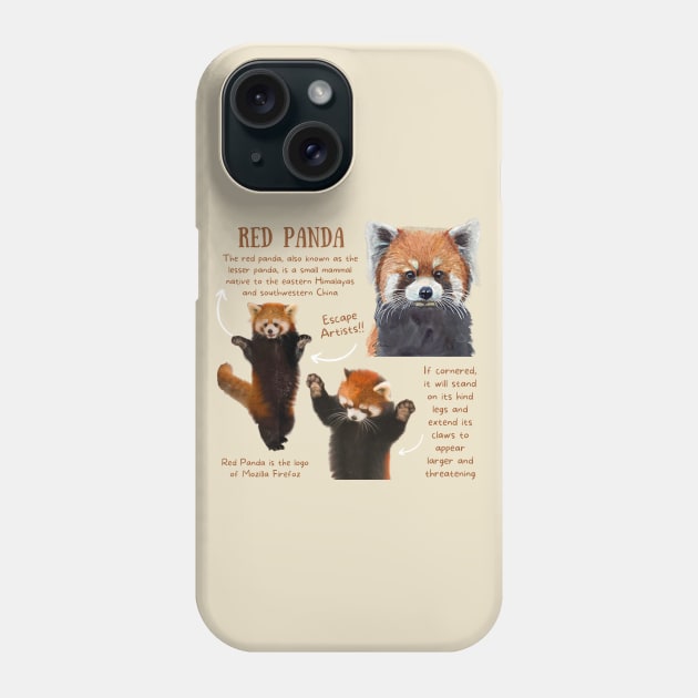 Animal Facts - Red Panda Phone Case by Animal Facts and Trivias