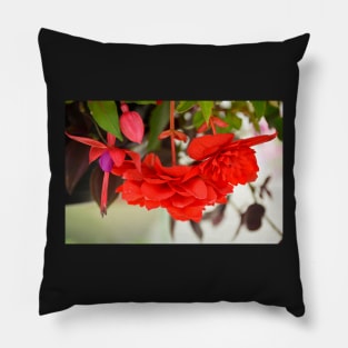 Begonias and Fuschia Pillow