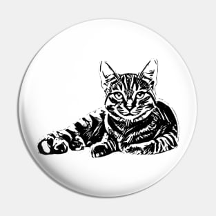 Cat Pin