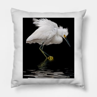 All Fluffed Up Pillow