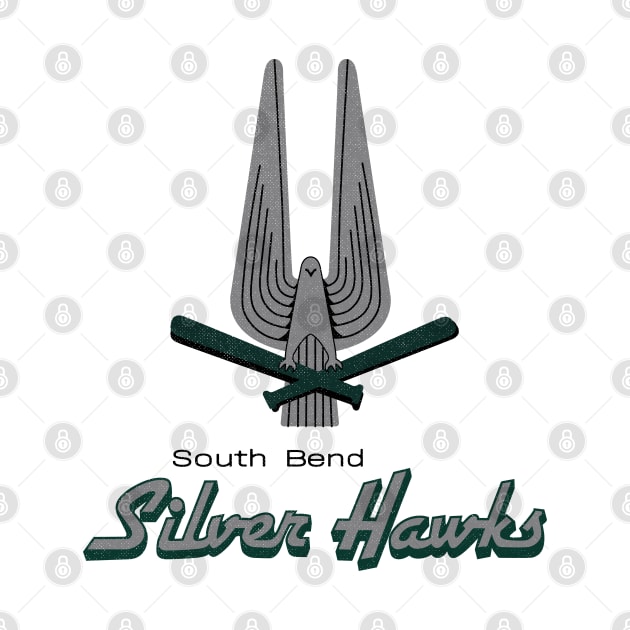 Defunct South Bend Silver Hawks Minor League Baseball by LocalZonly