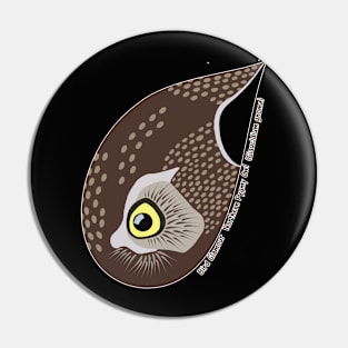 Northern Pygmy-Owl (Small Text) Pin