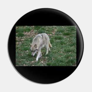 Wolf Pin