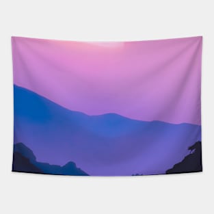 Pink Sunset Tapestry