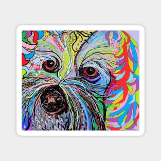 Colorful Cavapoo Magnet