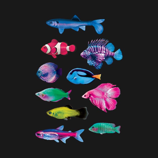 Colorful Fish by saif