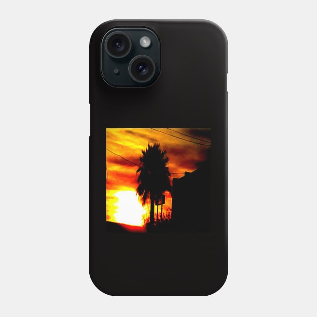 Arizona at Sunset Phone Case by Celtic Mutt's Art Work and Designs