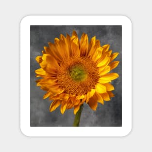 Magical Moody Sunflower Magnet