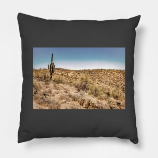 Apache Trail Scenic Drive View Pillow