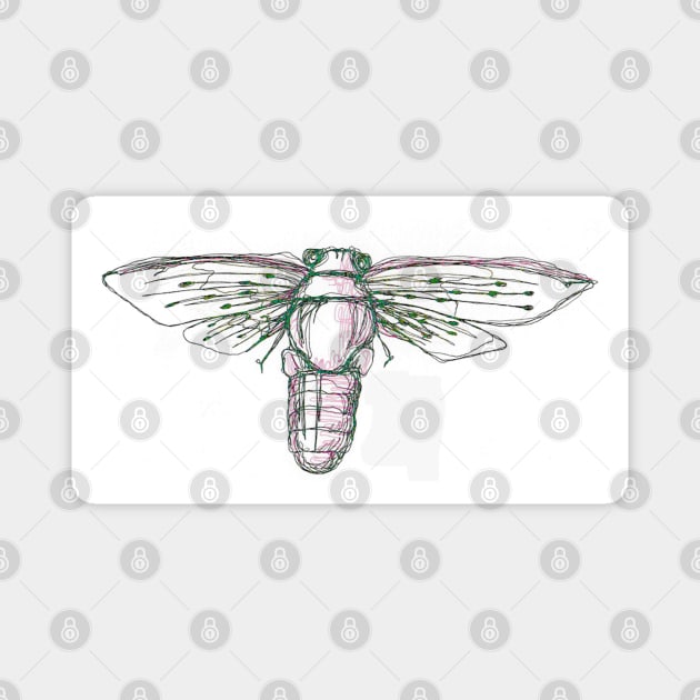 Cicada Magnet by Art of V. Cook