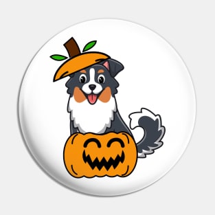 Cute Collie Dog is in a pumpkin Pin
