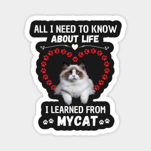 All I Need To Know About Life I Learned From My Cat Magnet