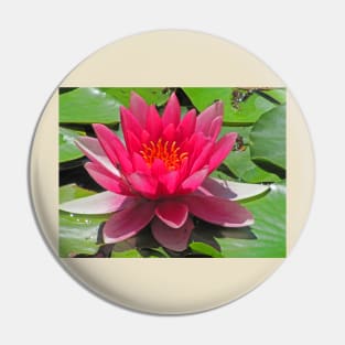 Abbotsbury Water Lily Pin