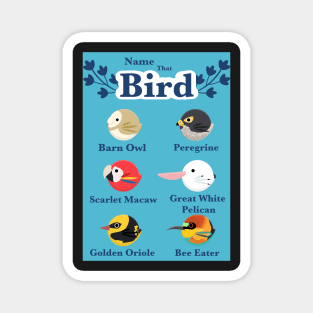 Types of Birds 2/3 Magnet