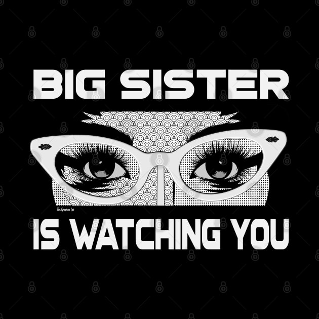 Big Sister is Watching You Comic Art Orwellian (vers 1) by SunGraphicsLab