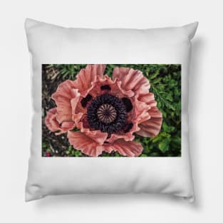 Poppy 5 Pillow