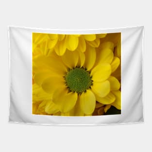 Yellow Pom Flower Close Up Tapestry