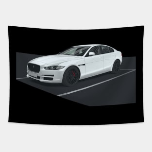 Jaguar xe Tapestry