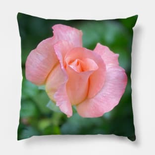 Budding Roses Pillow