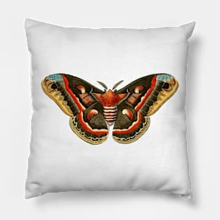 Butterfly Pillow