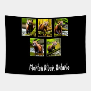 Marten River, Ontario Tapestry