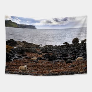 Sheep feeding on seaweed, Skye Tapestry