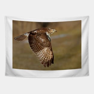 Red-tailed Hawk Tapestry