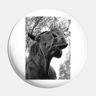 Funny horse face Black horse Pin