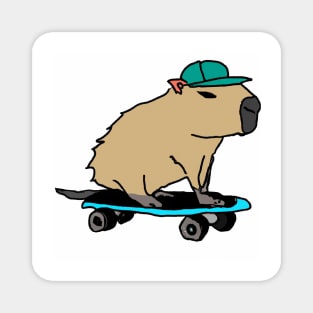 Capybara skating Magnet