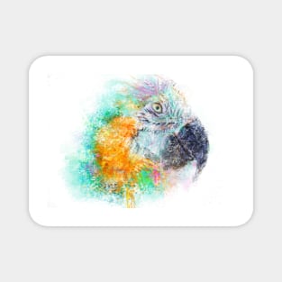 Parrot Head Magnet