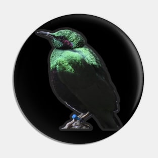 Emerald Starling Pin