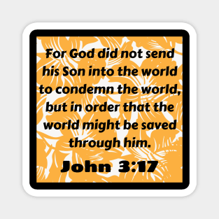 Bible Verse John 3:17 Magnet