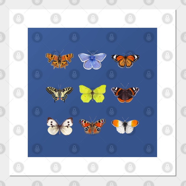 Set Of Butterflies Watercolor Butterflies Butterfly Painting