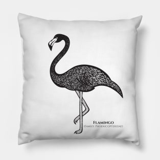 Flamingo with Common and Latin Names - detailed ink art bird design Pillow