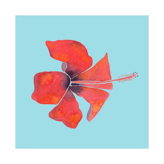 Red Hibiscus Tropical Watercolor Illustration with a blue background by Sandraartist