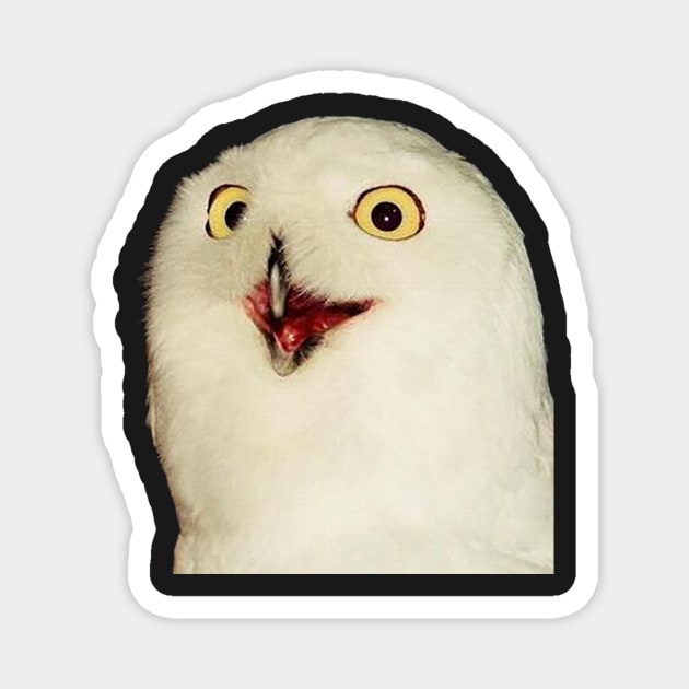 O RLY? Owl Magnet by FlashmanBiscuit