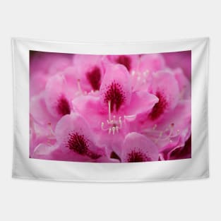 Purple rhododendron flower Tapestry