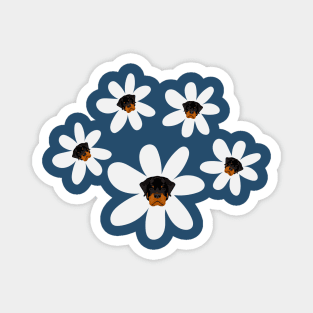 Rottweiler Head in White Flower Magnet