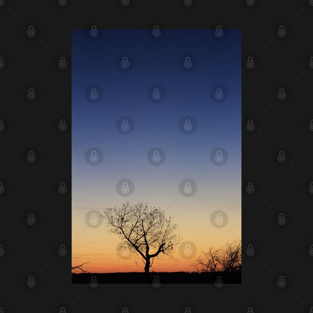 Kansas Sunset at Twilight with a Tree silhouette by ROBERTDBROZEK