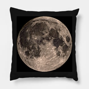 THE PULL OF THE MOON Pillow