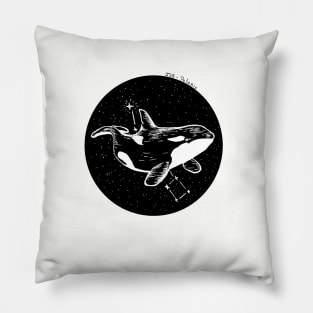 Literal Names - Polaris Pillow