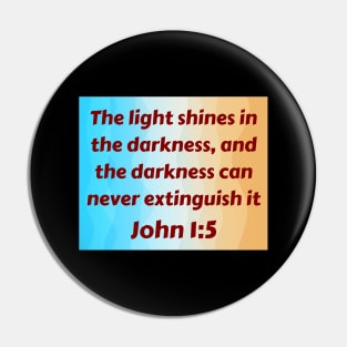 Bible Verse John 1:5 Pin