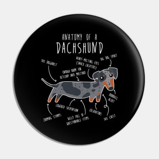 Blue Dapple Dachshund Dog Anatomy Pin