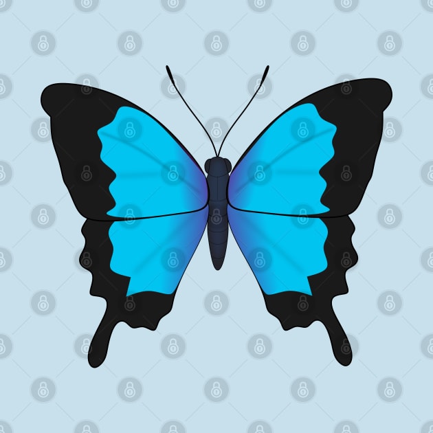 Ulysses butterfly by Nutmegfairy