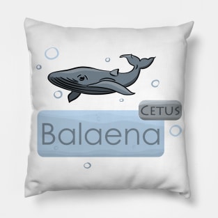 Whale Cetus Balaena Pillow