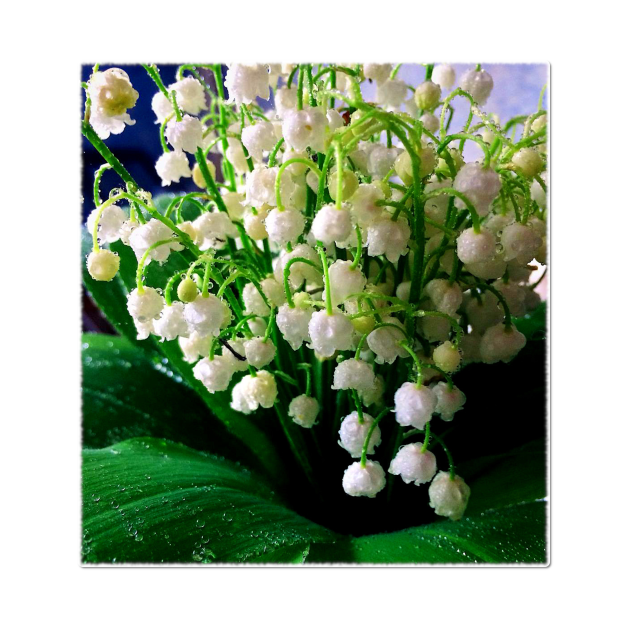 lily of the valley t shirt